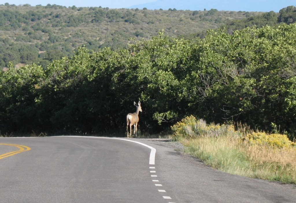 blackcanyon003.jpg