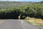 blackcanyon003_small.jpg