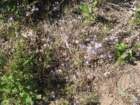 blackcanyon029_small.jpg