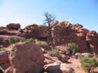 canyonlands012_small.jpg