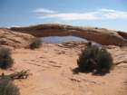 canyonlands017_small.jpg