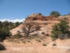 canyonlands024_small.jpg