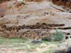 capitolreef012_small.jpg