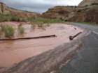 capitolreef013_small.jpg