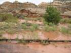 capitolreef014_small.jpg