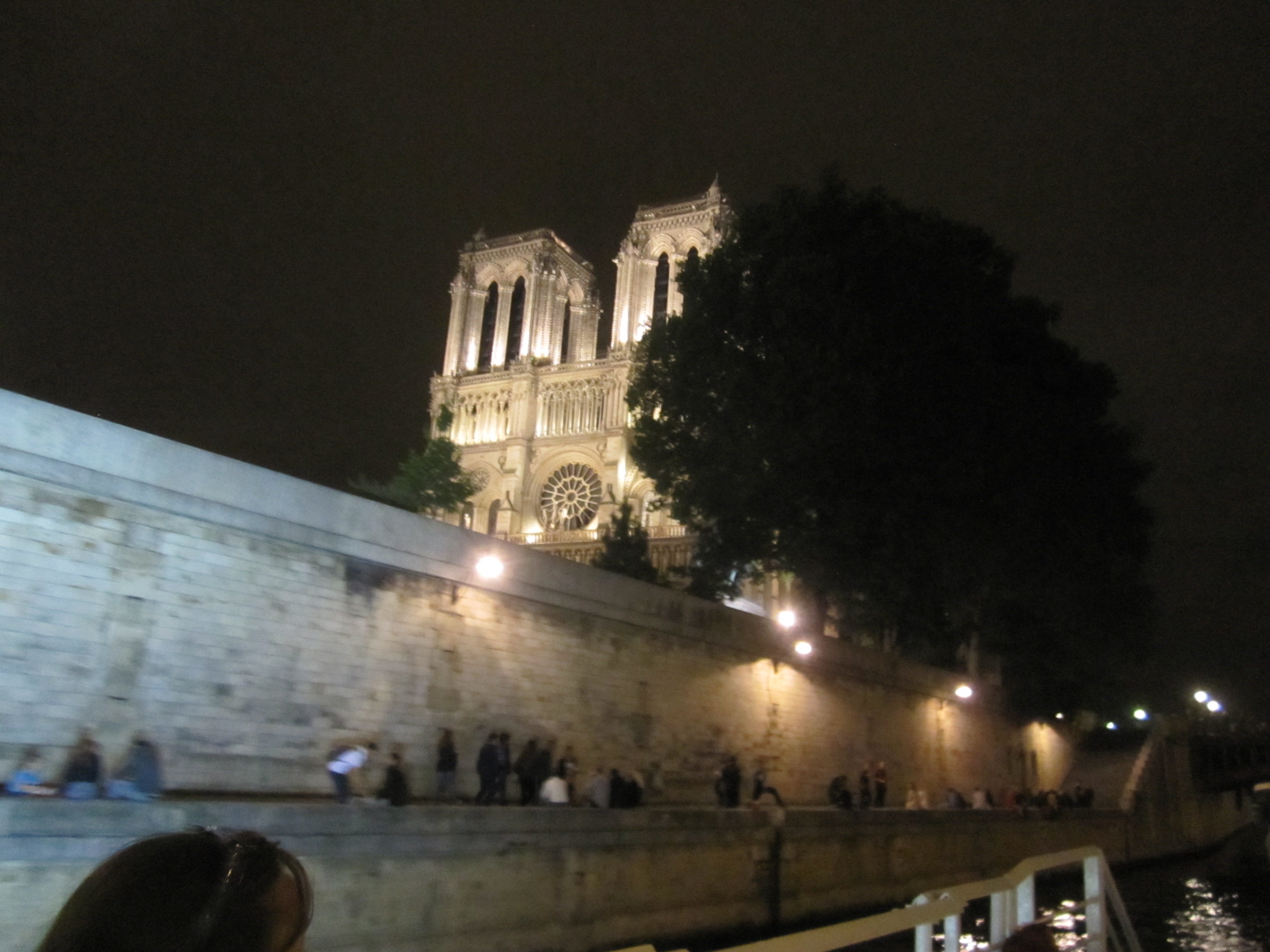 notredamefromtherivercruise2.jpg