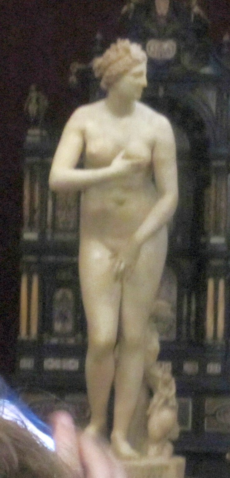 uffizimuseummedicivenus.jpg