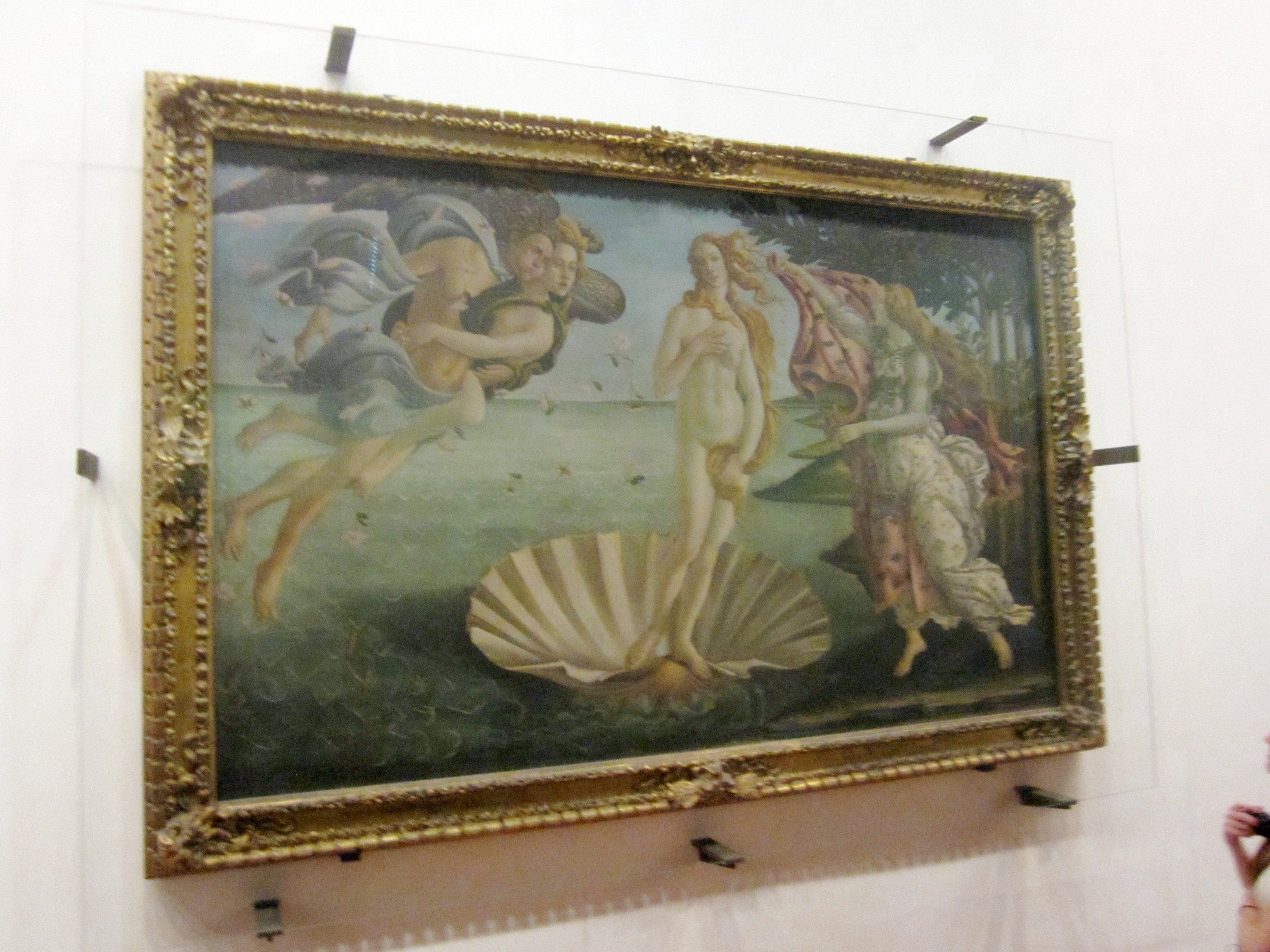 uffizimuseumthebirthofvenus.jpg