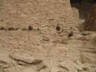 mesaverde017_small.jpg