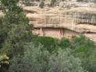 mesaverde070_small.jpg