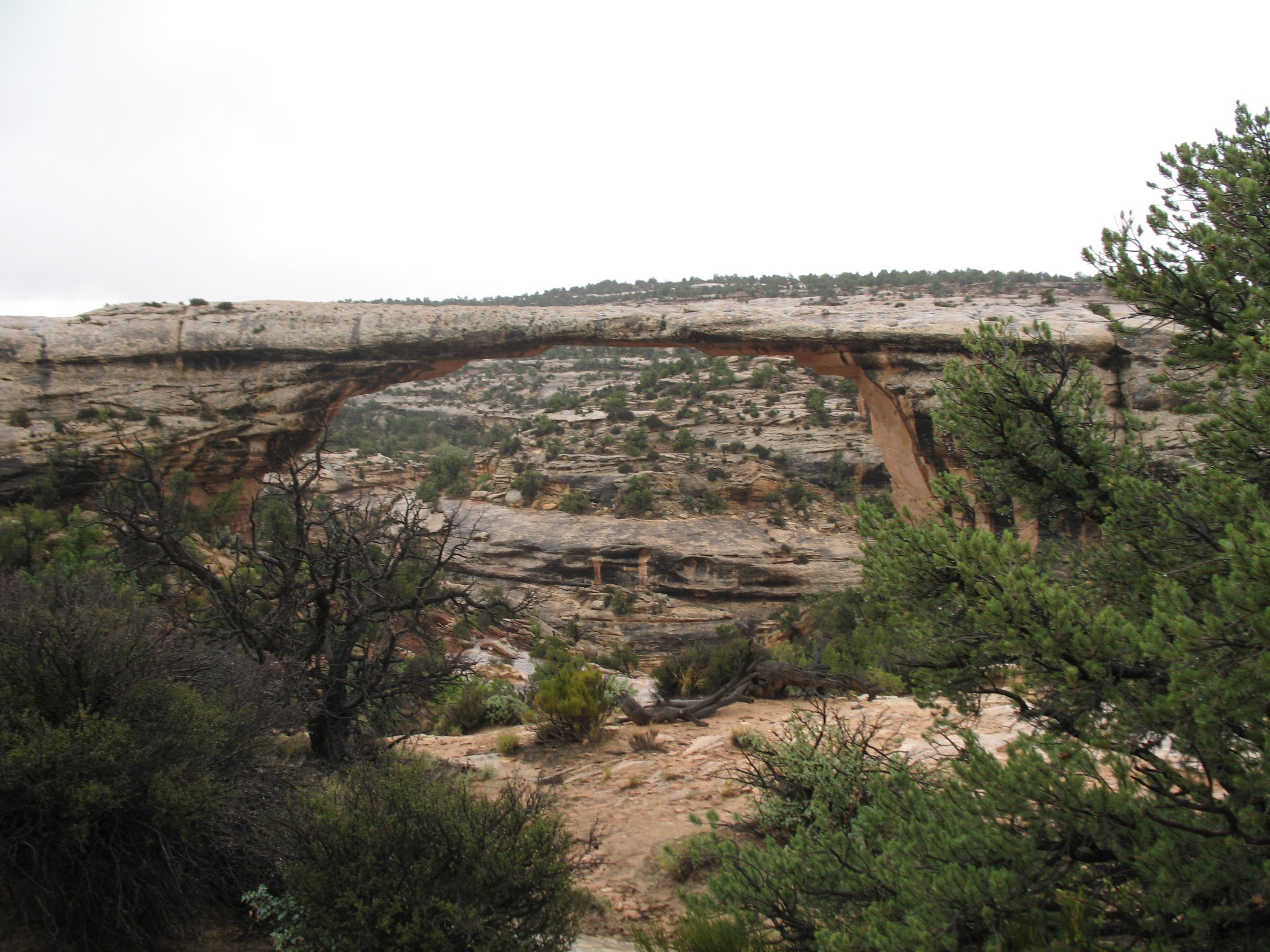 naturalbridges015.jpg