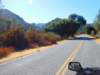 roadinthepark_small.jpg