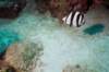 stlucia04_small.jpg