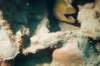 stlucia05_small.jpg