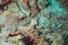 stlucia06_small.jpg