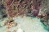 stlucia07_small.jpg