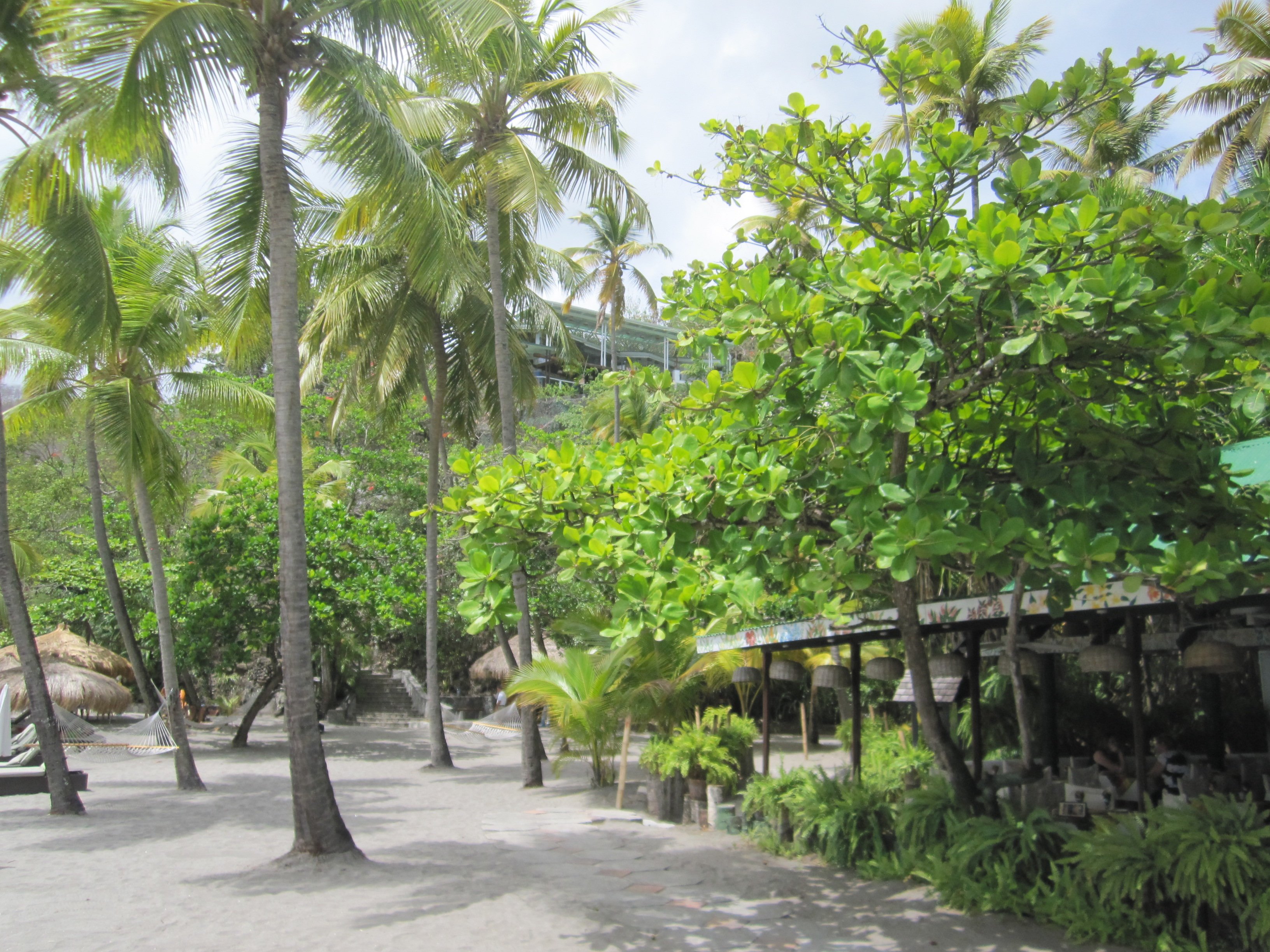 stlucia011.jpg