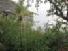 stlucia022_small.jpg