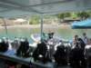 stlucia038_small.jpg