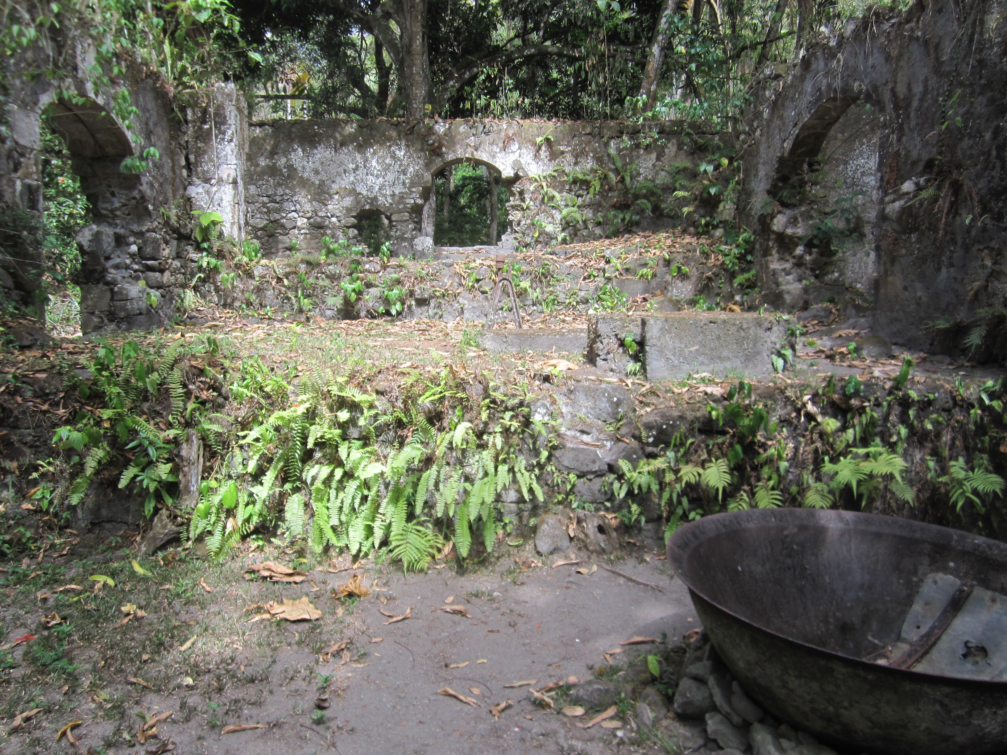 stlucia102.jpg