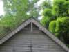 stlucia106_small.jpg
