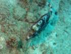 dsc02089_small.jpg