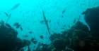 dsc02101_small.jpg
