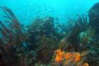 dsc02104_small.jpg