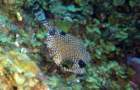 dsc02128_small.jpg