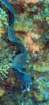 dsc02146_small.jpg