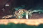 dsc02171_small.jpg