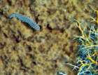dsc02198_small.jpg