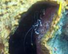 dsc02200_small.jpg