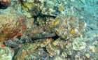 dsc02217_small.jpg