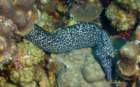 dsc02227_small.jpg