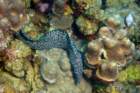 dsc02228_small.jpg