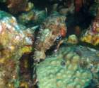 dsc02230_small.jpg
