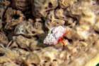 dsc02234_small.jpg