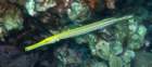 dsc02242_small.jpg
