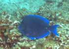 dsc02244_small.jpg