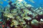 dsc02246_small.jpg