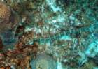 dsc02249_small.jpg