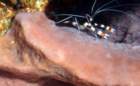 dsc02257_small.jpg