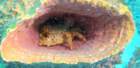 dsc02280_small.jpg