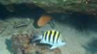 dsc02299_small.jpg