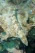 dsc02303_small.jpg