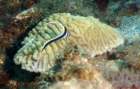 dsc02306_small.jpg
