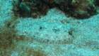 dsc02308_small.jpg