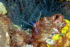 dsc02315_small.jpg