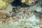dsc02316_small.jpg
